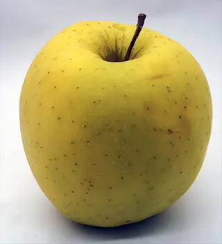 a golden delicious apple with a stem on a plain white background
