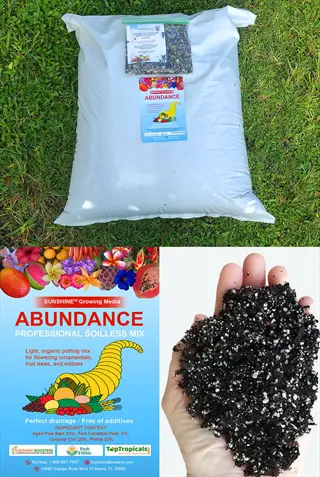 abundance organic rose potting soil product display: bag, sample mix in hand, promotional materials on grass