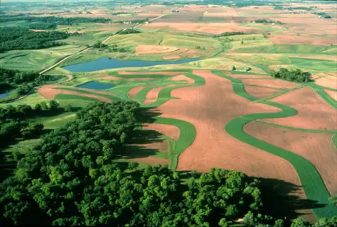 aerial view of agricultural fields with grass buffer strip along lakeshore, surrounded by forests and distant roads