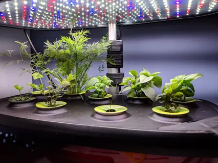 aerogarden bounty elite hydroponic system growing herbs and plants under multi-colored led grow lights