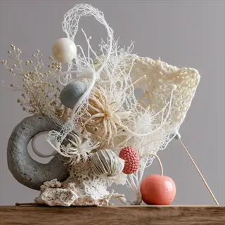 air plants seashell: artistic arrangement with tillandsia, white coral, gray ring, dried branches, and decorative balls on a wooden base against light gray background