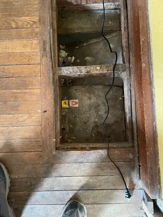 ant bait station placed in gap of old wooden floor for targeted pest control