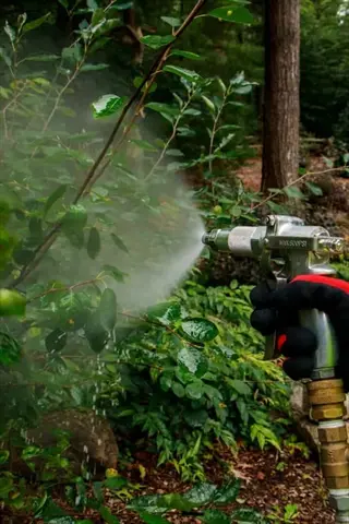 arborist spraying tree: gloved hand using professional spray equipment to apply mist treatment in a wooded area