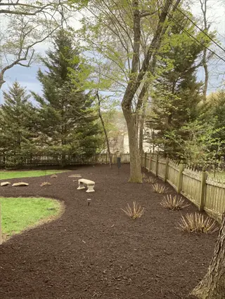 backyard pine straw mulch landscape with trees, bench, and wooden fence under partly cloudy sky