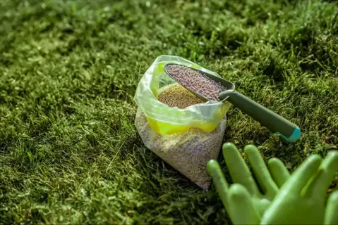 bag of granular lawn fertilizer with scoop and gardening gloves on grassy background