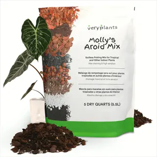 bag of molly's aroid mix soil for tropical and indoor plants, ideal for repotting ferns with well-draining soil