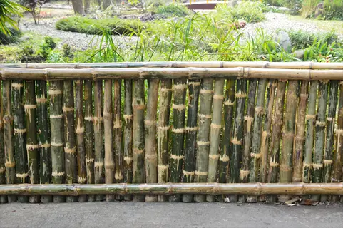 bamboo fence garden with lush greenery and stone pathway
