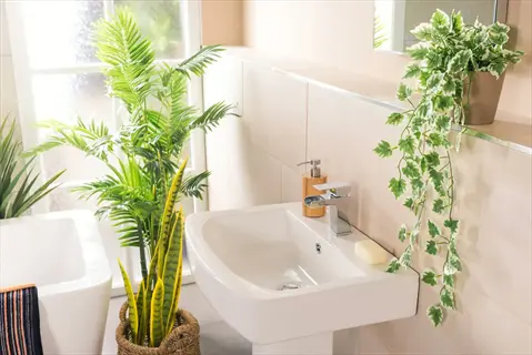 bathroom with fern and other humidity-loving plants near a window, sink, and bathtub to naturally boost moisture levels