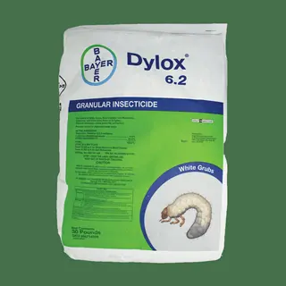 bayer dylox 6.2 dylox lawn insecticide granules bag with white grub illustration and product details