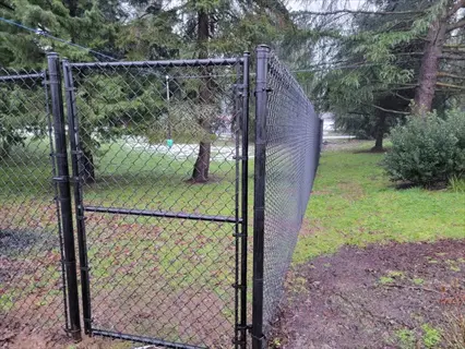 black chicken wire garden fence with gate in rainy, grassy area surrounded by trees
