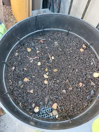 black worm composting bin filled with dark organic material, small stones, and debris