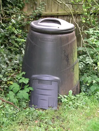 blackwall plastic compost bin in a garden with wooden fence and lush greenery
