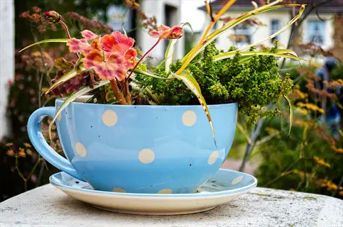 blue polka-dot teacup repurposed as plant pot with drainage saucer, holding colorful flowers and greenery in garden