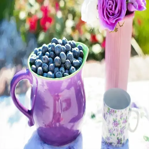 blueberries pot container: purple pitcher filled with fresh blueberries beside floral cup and flower vase in sunny garden setting