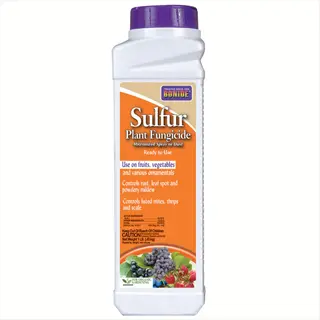bonide sulfur plant fungicide bottle - ready-to-use sulfur fungicide garden product for organic disease control on fruits and vegetables