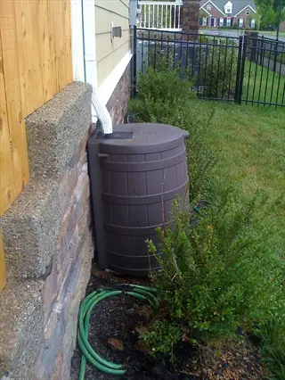 brown garden rain barrel collecting rainwater from downspout beside house with stone and wood siding, surrounded by green shrubs and coiled hose in residential yard