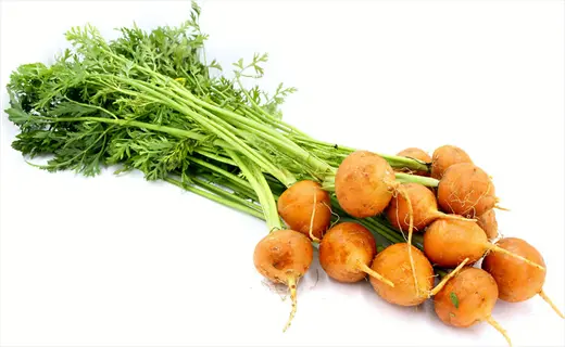 bunch of fresh round baby carrots with feathery green tops on white background, showcasing small plump orange roots