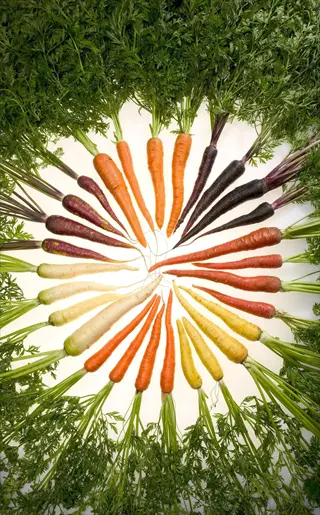 circular arrangement of vibrant rainbow carrot blend featuring orange, purple, yellow, and white varieties with lush green tops