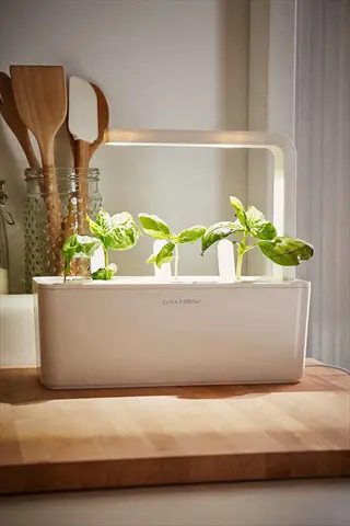 click and grow smart garden 3 compact herb garden countertop with growing basil plants, illuminated by built-in led lights on a kitchen counter