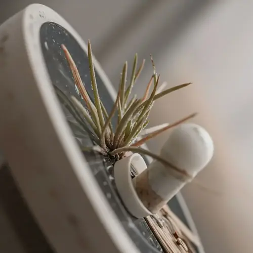 close-up of an air plant on a compost tea brewing bucket lid with white fixtures