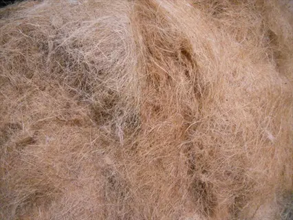 close-up of fibrous coconut coir fiber texture for soil aeration and moisture retention
