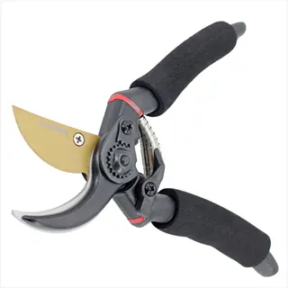 close-up of professional rose bypass pruners with black foam grips, golden blade, and red accent spring, isolated on white background