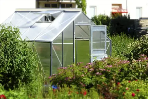 cold frame seedlings garden greenhouse structure surrounded by lush greenery and blooming flowers