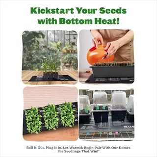 collage demonstrating how to start seeds with bottom heat: seedlings on heat mats, watering process, and propagation domes