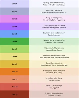 color-coded calendar garden planning chart showing 13 planting zones with plant recommendations