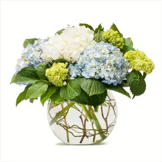 compact hydrangea container arrangement in glass vase featuring blue, white, and green blooms with lush foliage