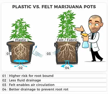 comparison of plastic vs. felt marijuana pots, highlighting drainage and root health features with text and a scientist illustration