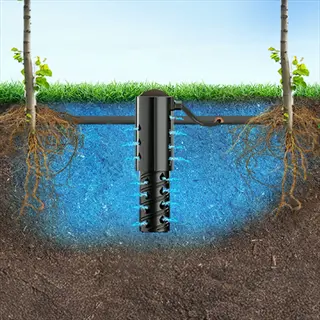 deep root watering system for garden plants, delivering water directly to roots