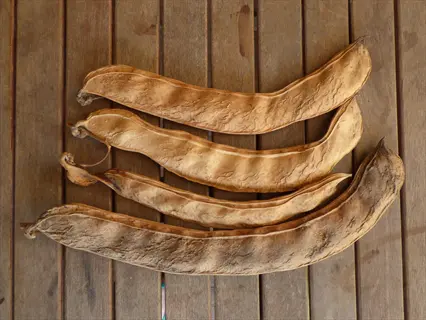dried bean pods arranged on a wooden surface