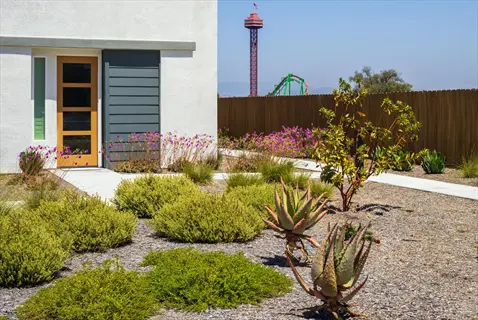 drought tolerant lawn with succulent plants, gravel pathways, and a modern house featuring a wooden door, set under a clear blue sky