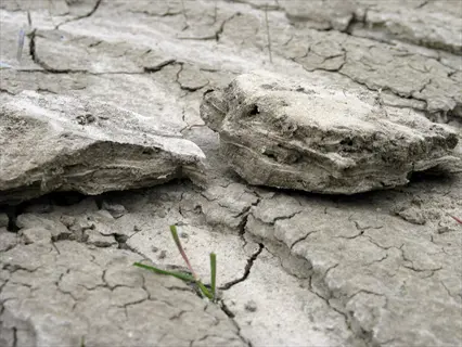 dry cracked soil showing distinct aggregates and aggregate formation with surface clumps