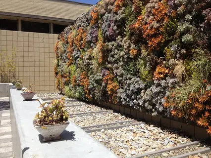 felt vertical garden wall with diverse succulents and potted plants in urban courtyard