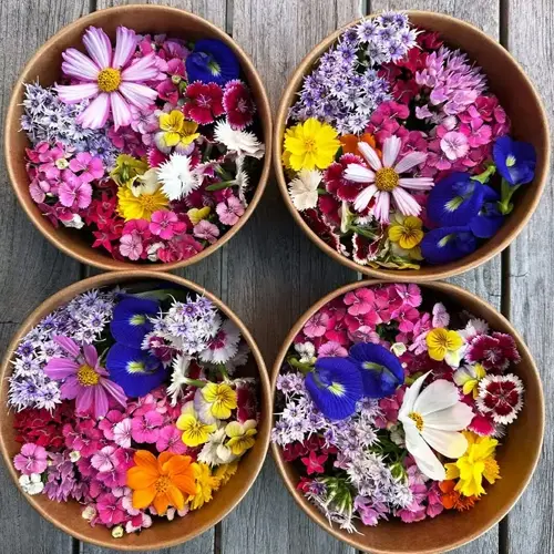 four bowls filled with colorful edible flowers from a garden