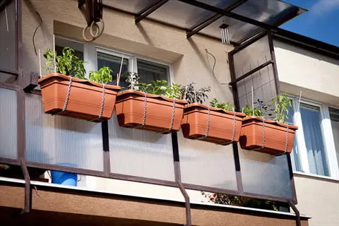 four hanging planters on a sunny balcony with green plants, ideal for growing pepper plants in maximum sunlight
