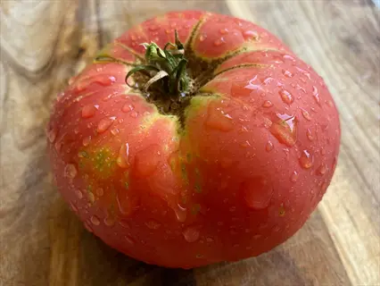 fresh brandywine tomato with water droplets, featuring pink-red skin and green shoulders, resting on a wooden cutting board