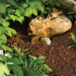 garden bed with large rock surrounded by ferns and shredded leaf mulch