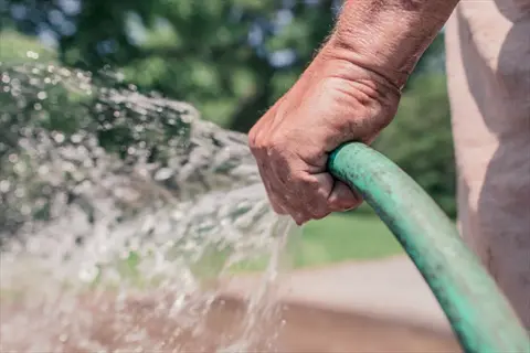 garden hose spray plants: close-up of a hand gripping a green garden hose as water gushes out in a sunny garden setting