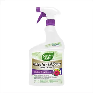 garden safe insecticidal soap spray bottle, insect killer that kills bugs through contact, suitable for organic gardening