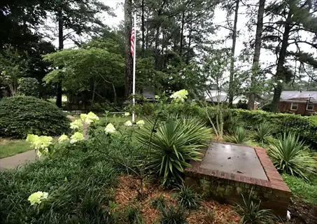 garden scene with limelight hydrangea blooming among lush greenery, tall trees, and an american flag in the background