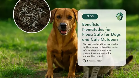 garden soil nematodes: close-up of beneficial nematodes in soil (inset), with a dog and cat outdoors beside an educational blog card about flea control