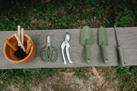 gardening supplies: potting tools including pruners, trowels, and weeder arranged on wooden bench outdoors
