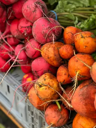 golden beet harvest with red beets in crates, freshly picked root vegetables