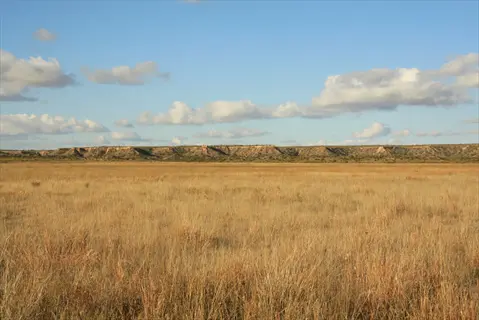 golden prairie grass field under clear blue sky with white clouds and distant mesas