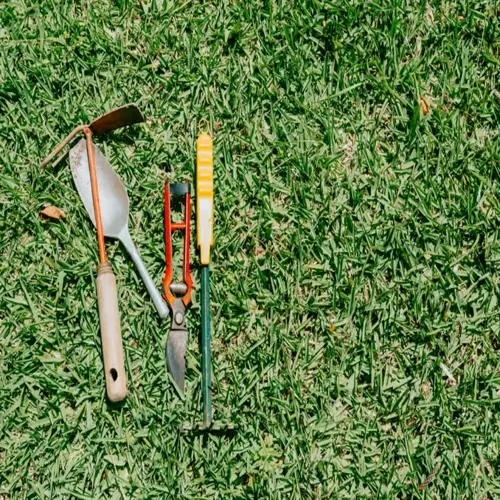 green lawn care tools: rake, trowel, pruning shears on grassy background