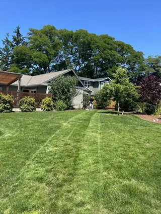 green lawn residential area with houses, trees, and clear blue sky on a sunny day