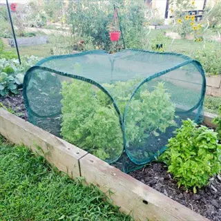 green mesh hardware cloth garden cover protecting plants in a raised garden bed